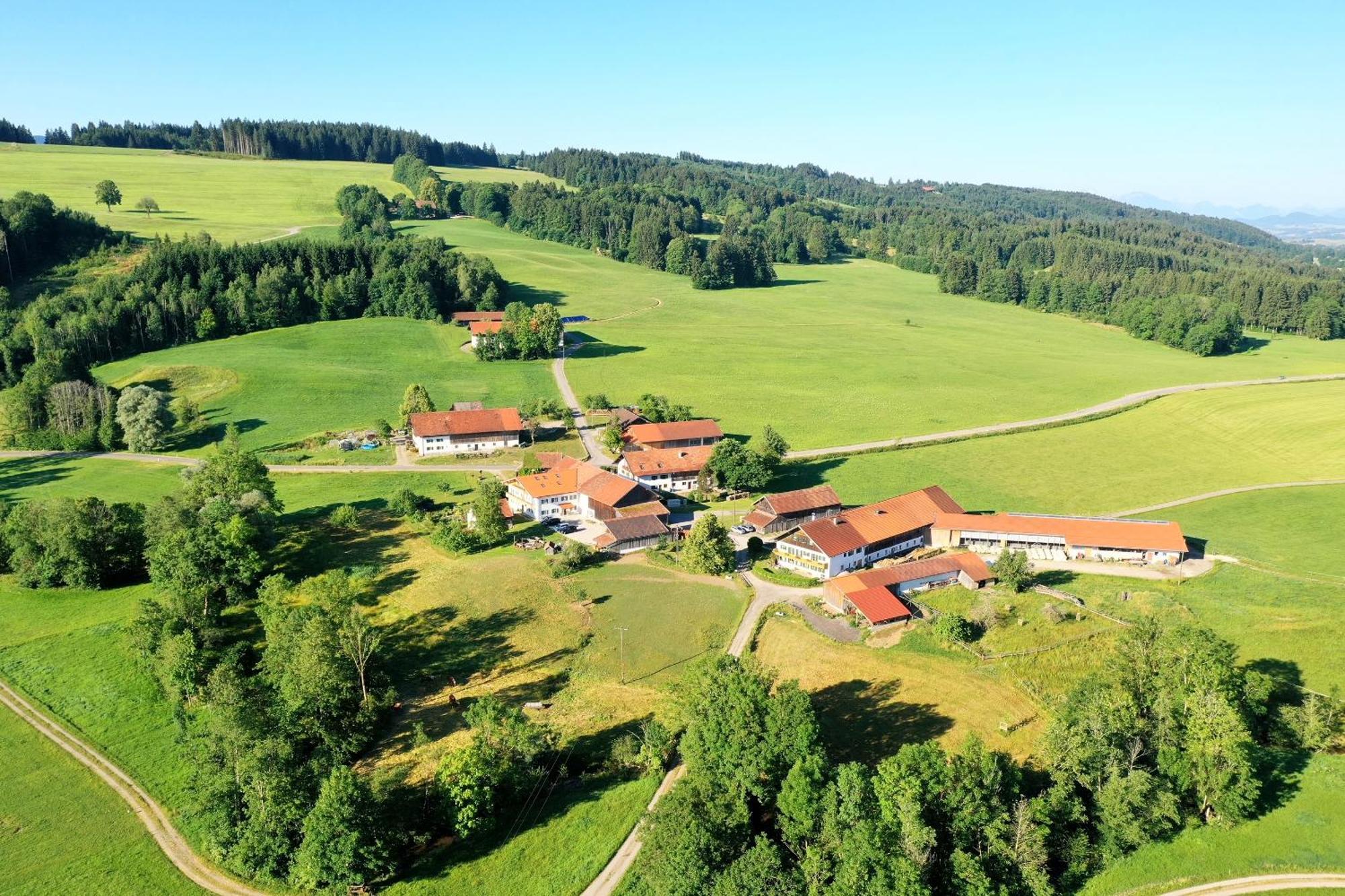 Lina Appartement